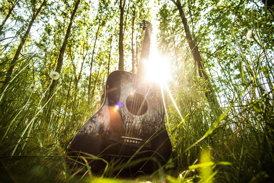 acoustic-guitar-407214_960_720.jpg