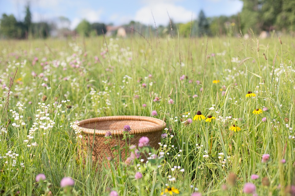 basket-554090_960_720.jpg