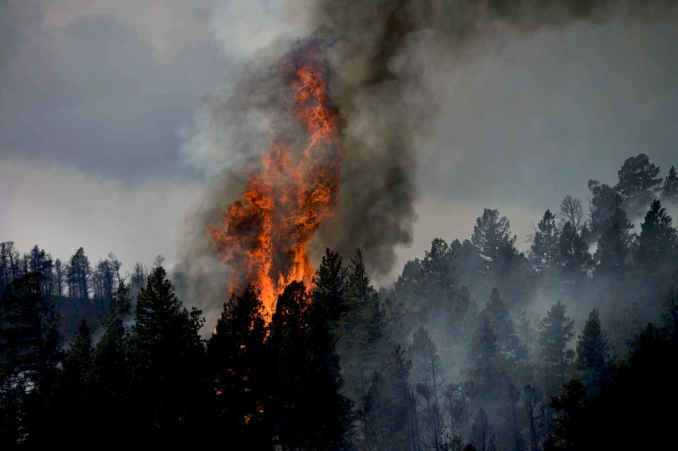 colorado-78114_960_720.jpg