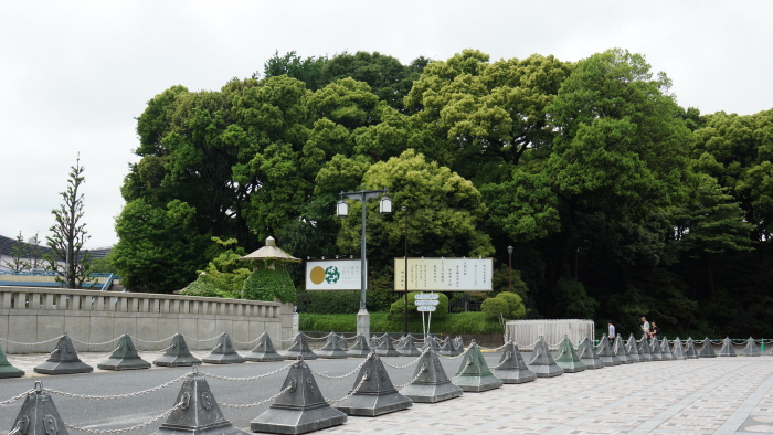 DSC00660.JPG