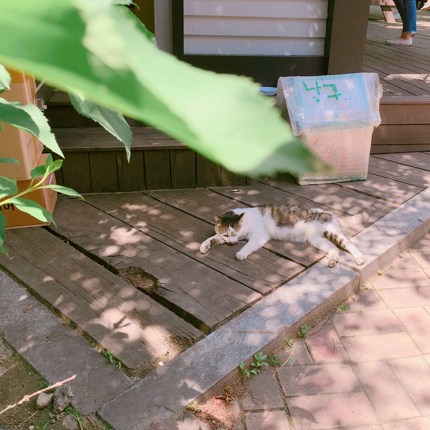 KakaoTalk_20160519_182027888.jpg
