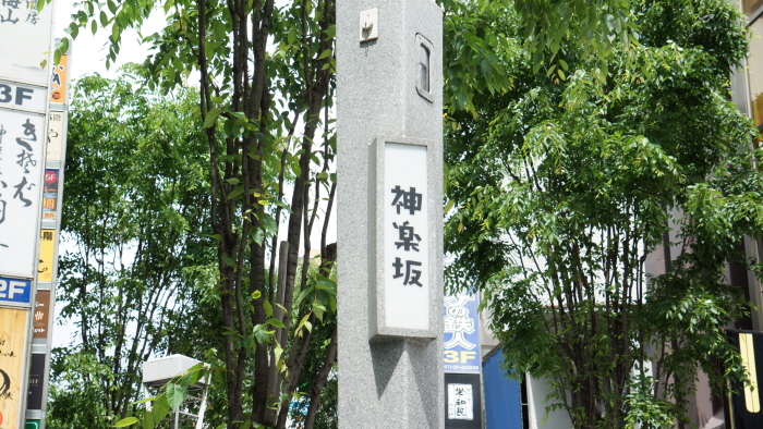 DSC00920.JPG