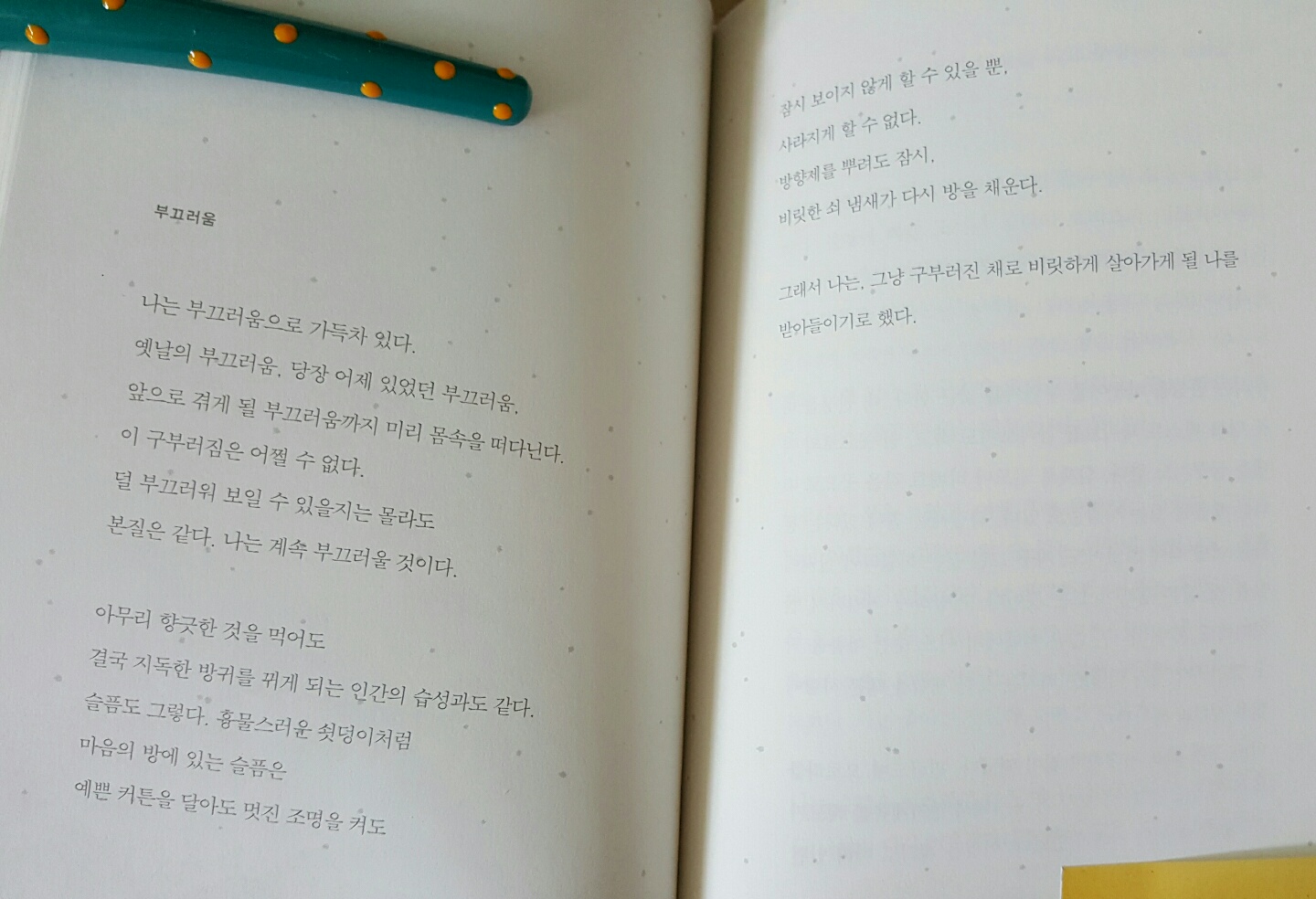 부끄러움.jpg