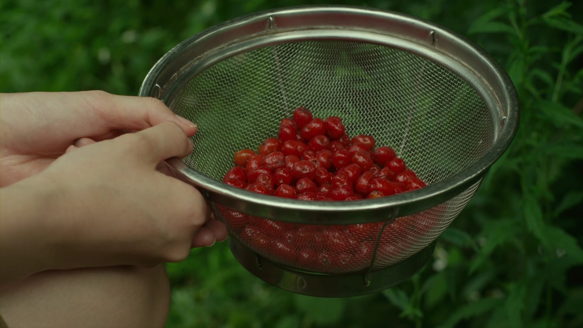 Little.Forest.Summer.Autumn.2014.1080p.BRRip.x264-PSW.mp4_001408573.jpg