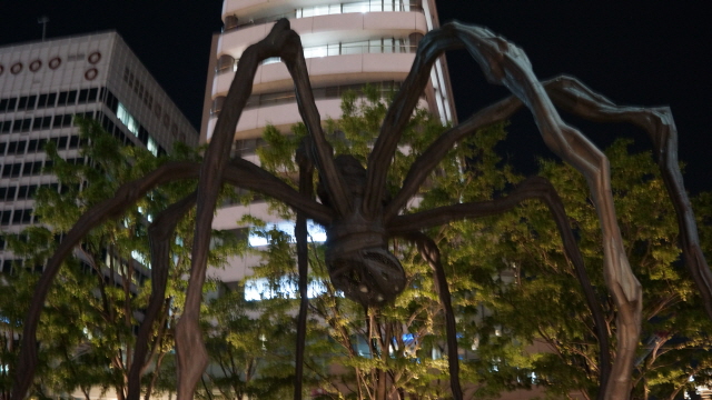 DSC01337.JPG