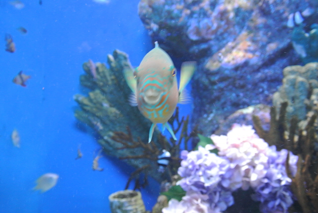 DSC_3354.JPG