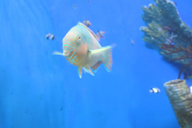 DSC_3353.JPG