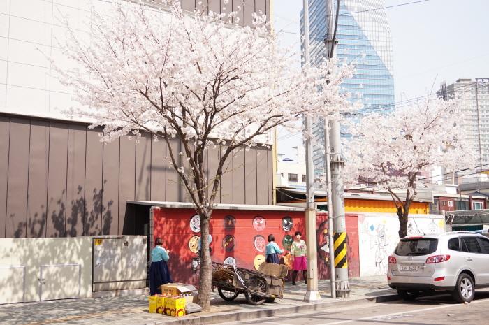 크기변환_DSC00857.JPG