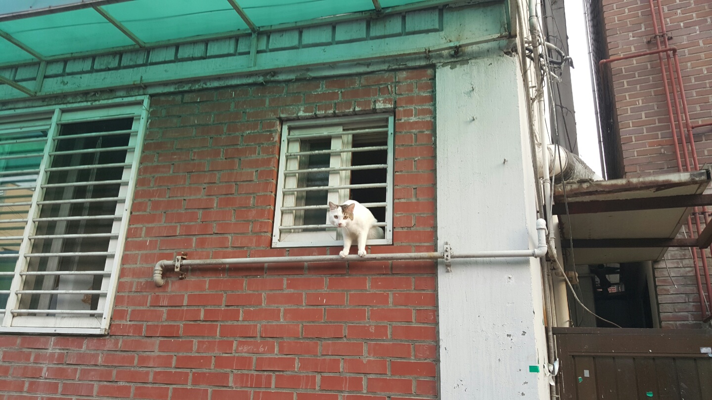 KakaoTalk_20160706_013500157.jpg