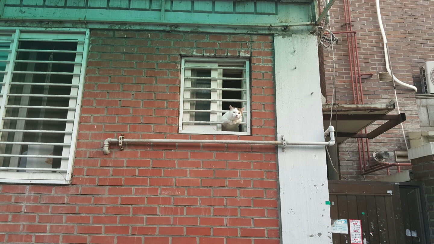KakaoTalk_20160706_013523987.jpg