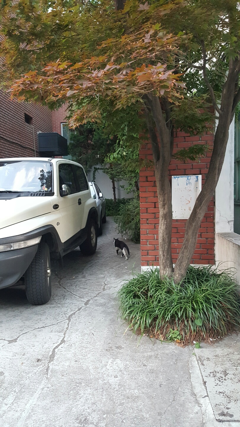 KakaoTalk_20160706_013244799.jpg