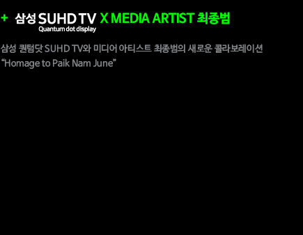 paik_img28.png