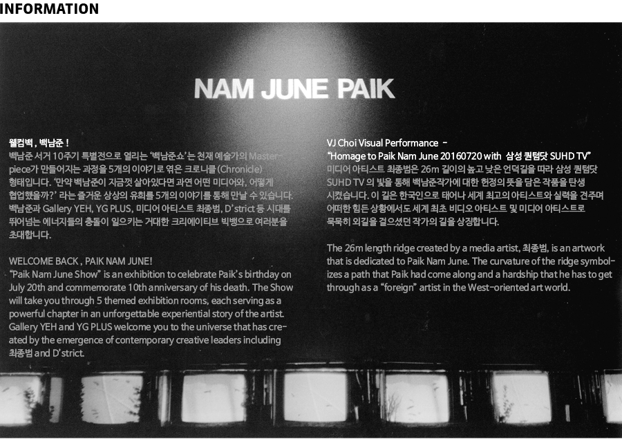 paik_img20.png