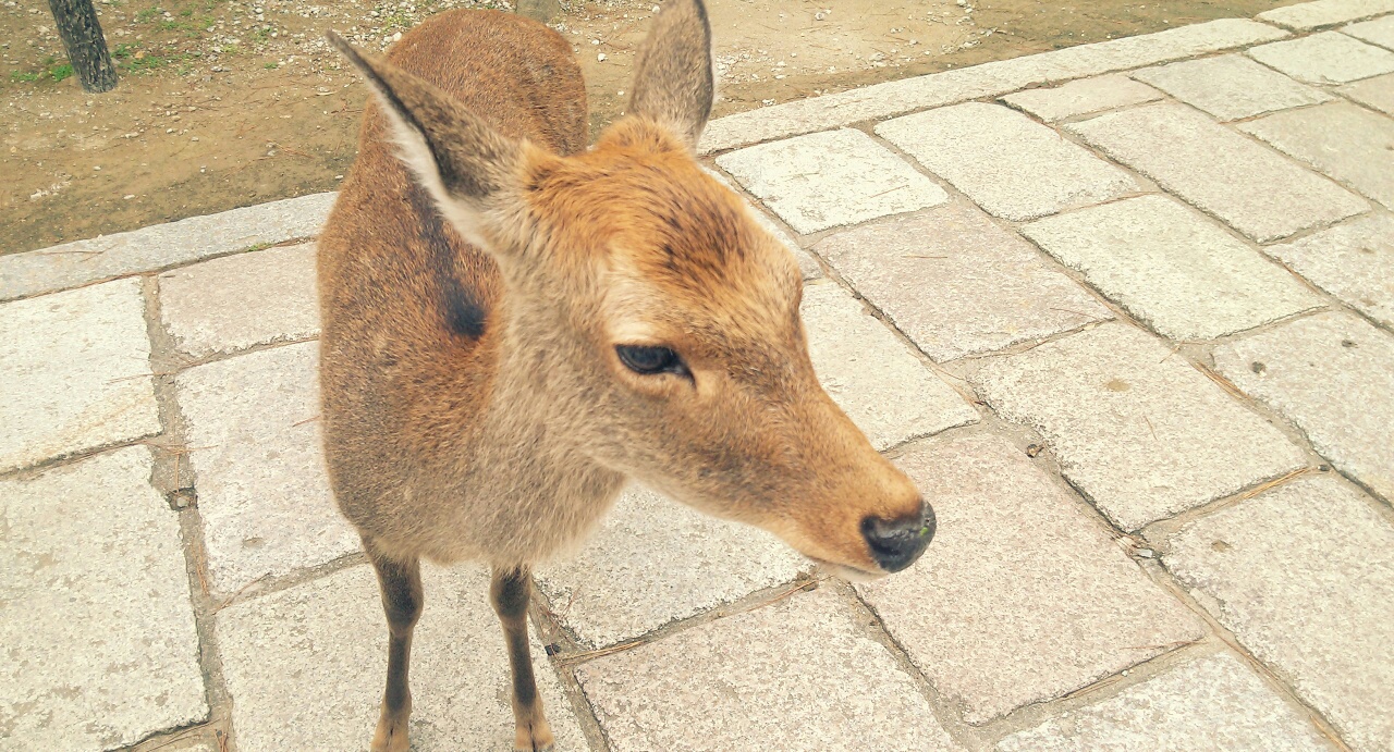 KakaoTalk_20160704_154259037.jpg