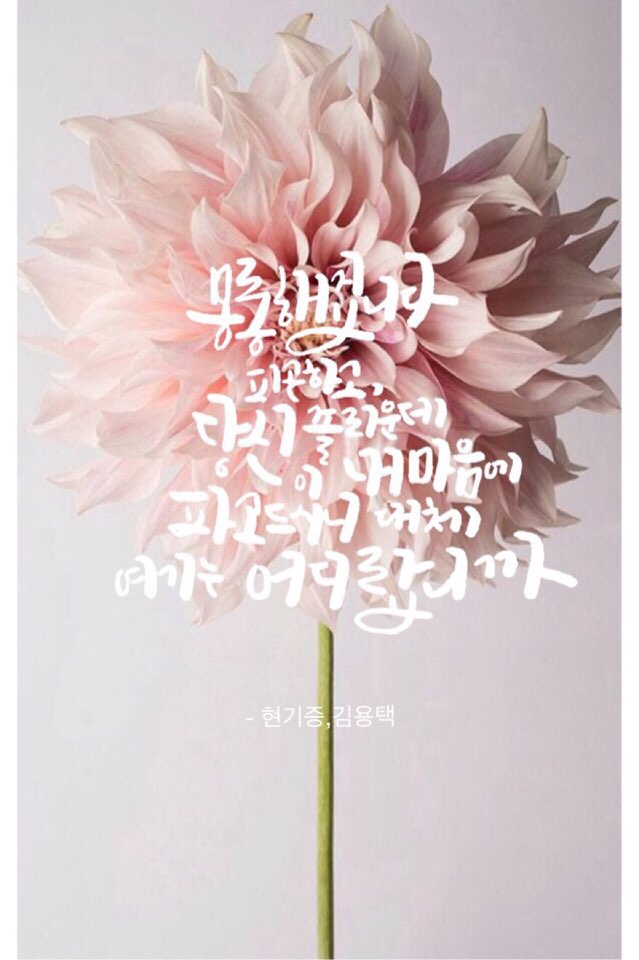 NaverBlog_20150902_000102_00.jpg