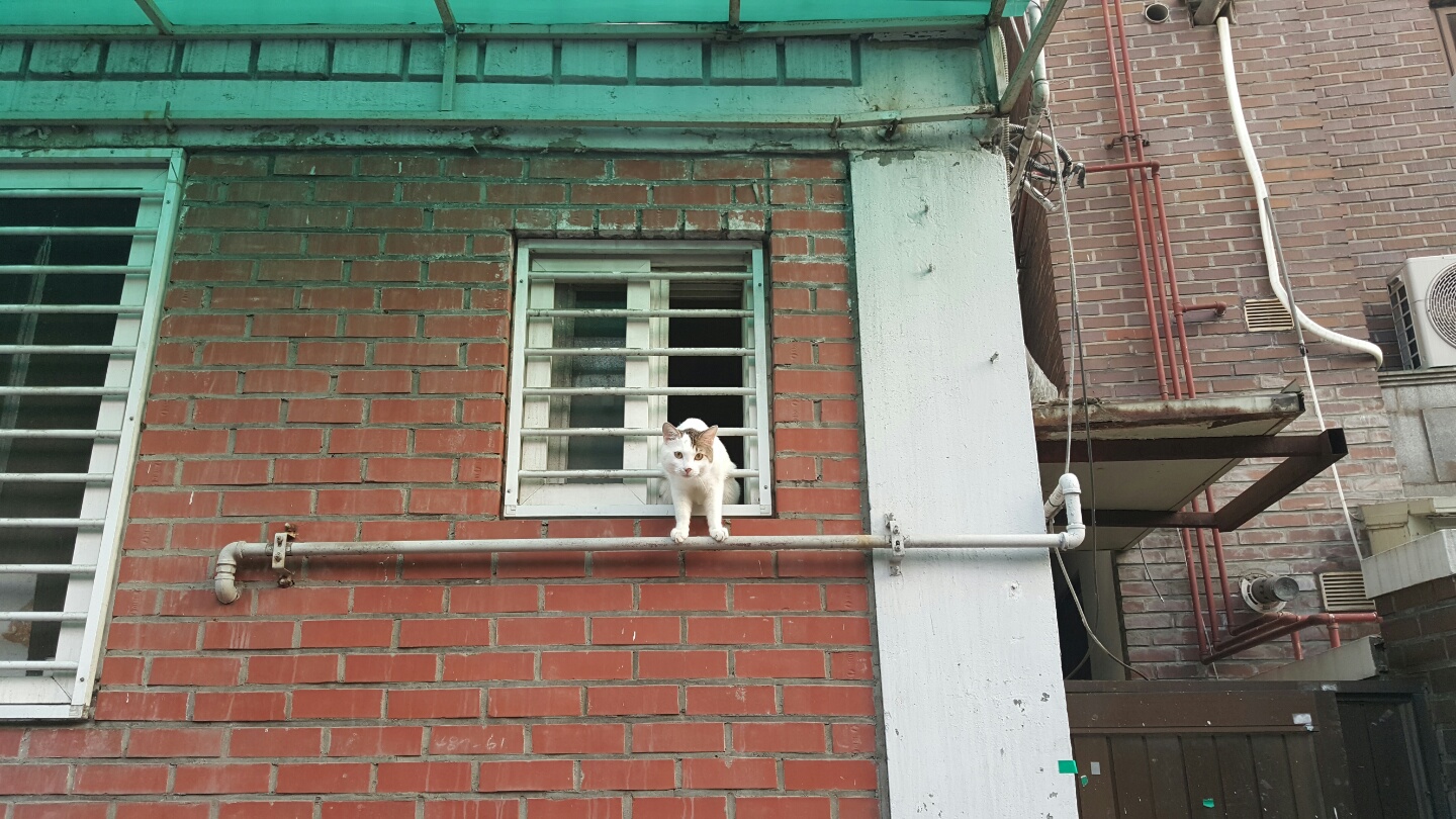 KakaoTalk_20161016_054653311.jpg