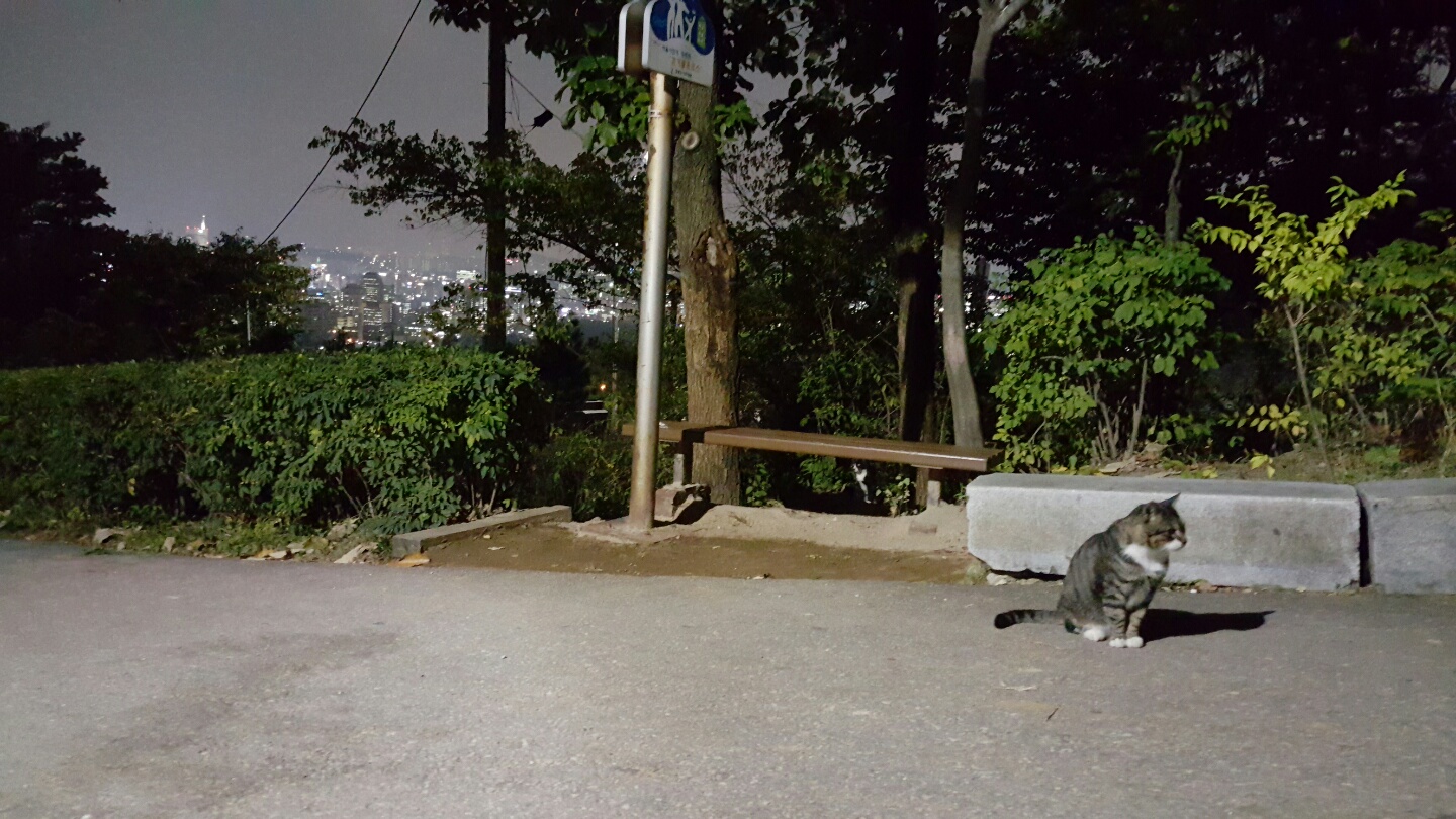 KakaoTalk_20161016_054648549.jpg