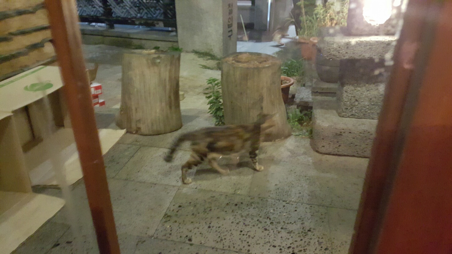KakaoTalk_20161016_054649664.jpg