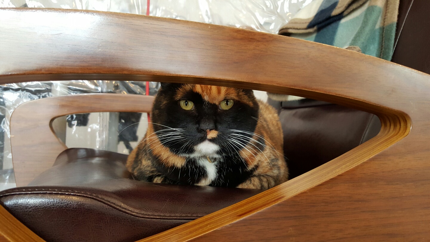 KakaoTalk_20161016_054655977.jpg