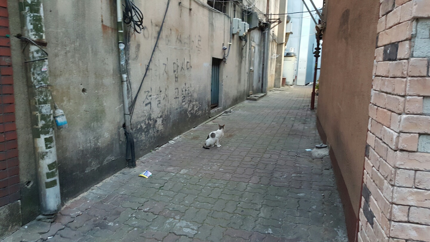 KakaoTalk_20161016_054655156.jpg