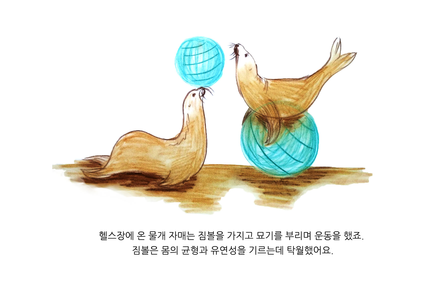 물개자매3.jpg