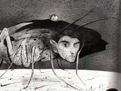 photo_0.jpg