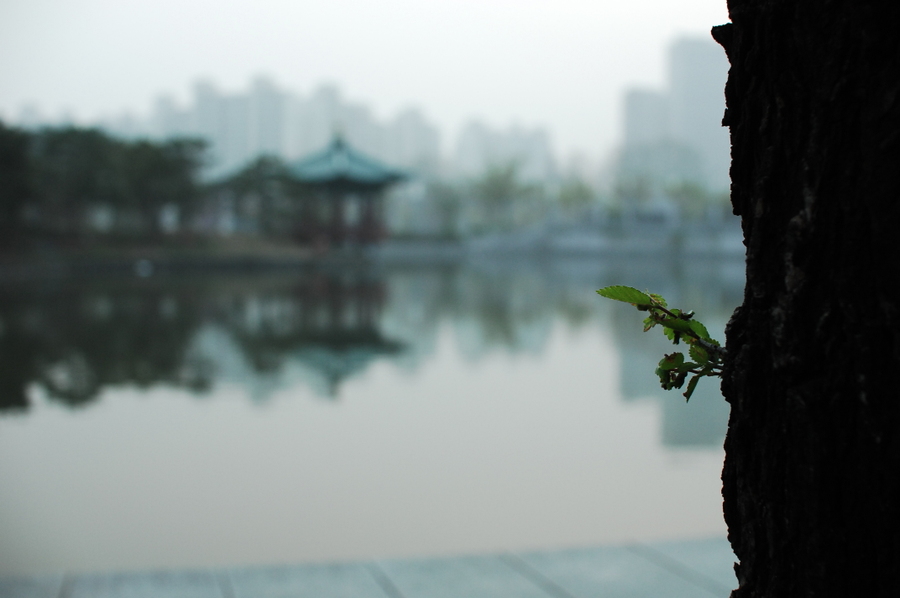ggs_3372_sakeeya.jpg