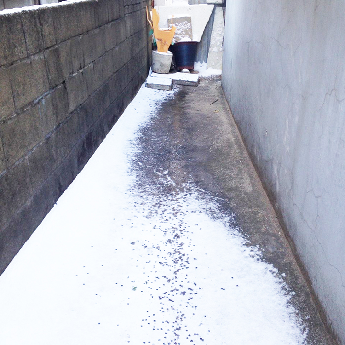 KakaoTalk_20161229_111921106.jpg