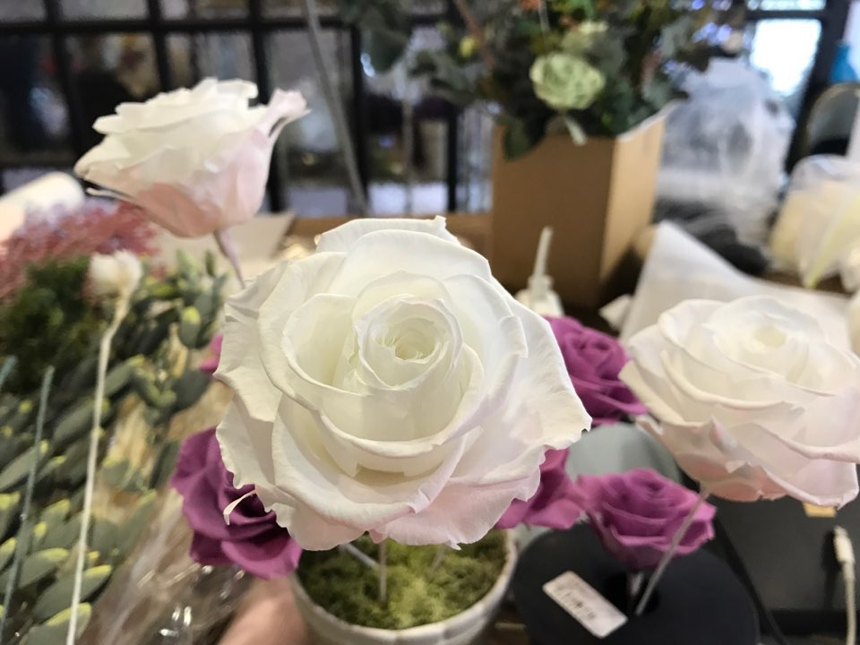KakaoTalk_20170120_003502481.jpg