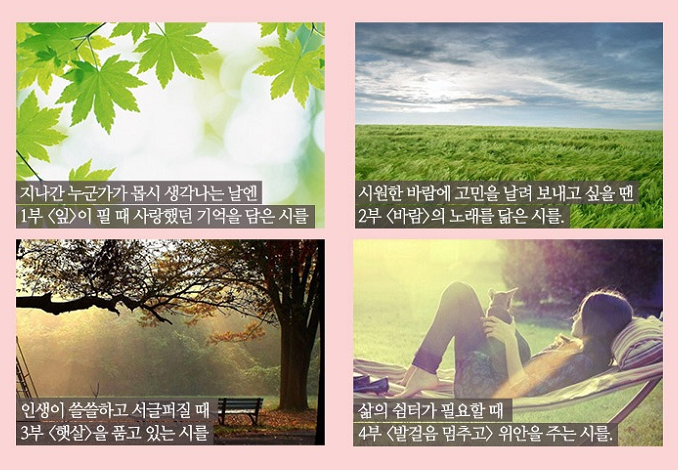 책소개.png