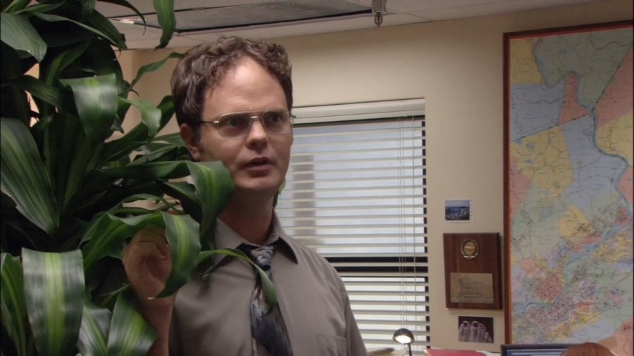 The.Office.S01E04.The.Alliance.DVDRip.XviD-SAVANNAH.mkv_20160831_155944.759.jpg