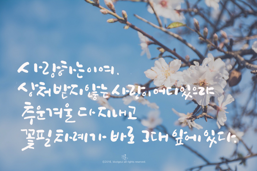 김종해_그대앞에봄이있다.jpg
