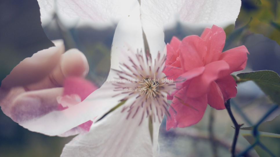 한강-서시_0000030093ms.png
