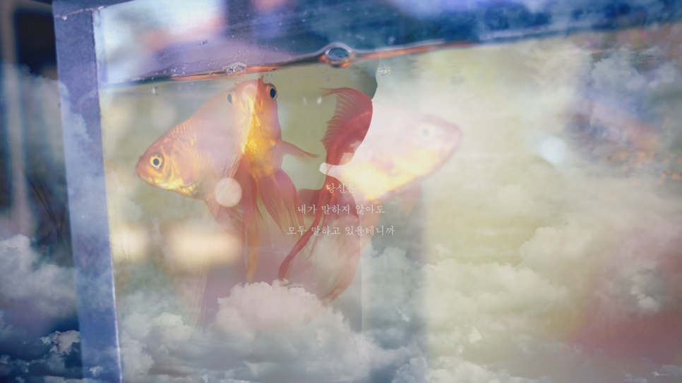 한강-서시_0000050328ms.png