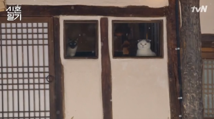 구10.png