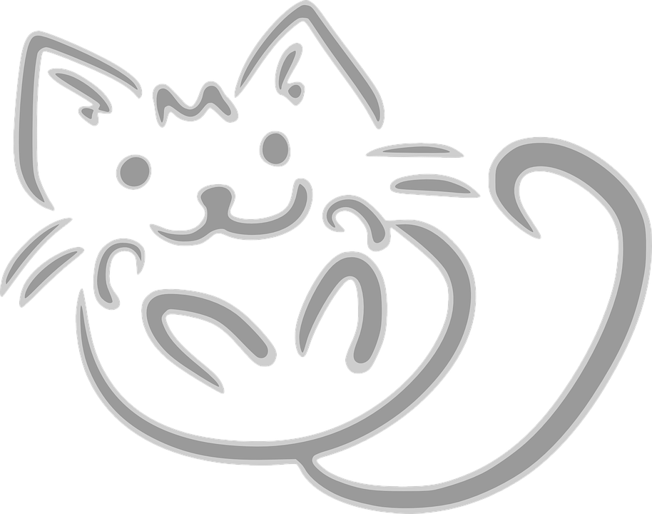 cat-153337_960_720.png
