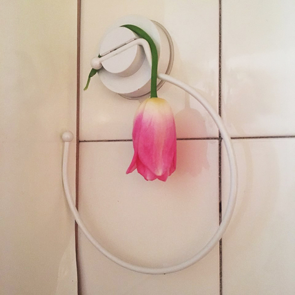 KakaoTalk_20170219_121541357.jpg