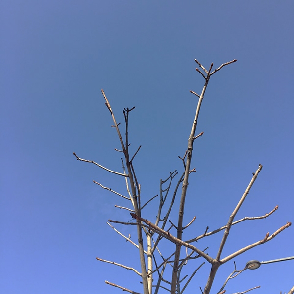 KakaoTalk_20170219_121540225.jpg
