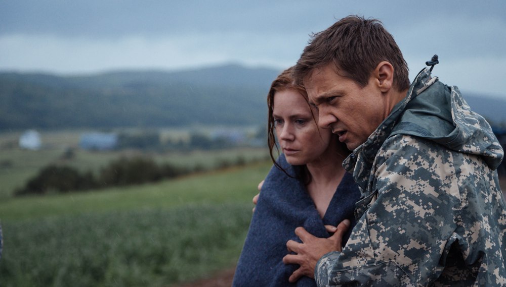 arrival9.jpg
