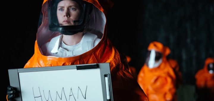 arrival2.jpg