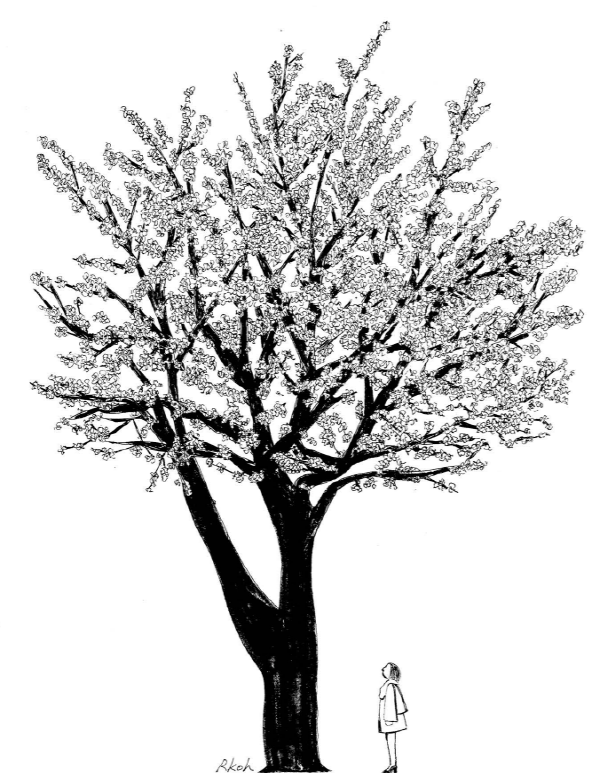 2017-03-01 22;58;56.PNG