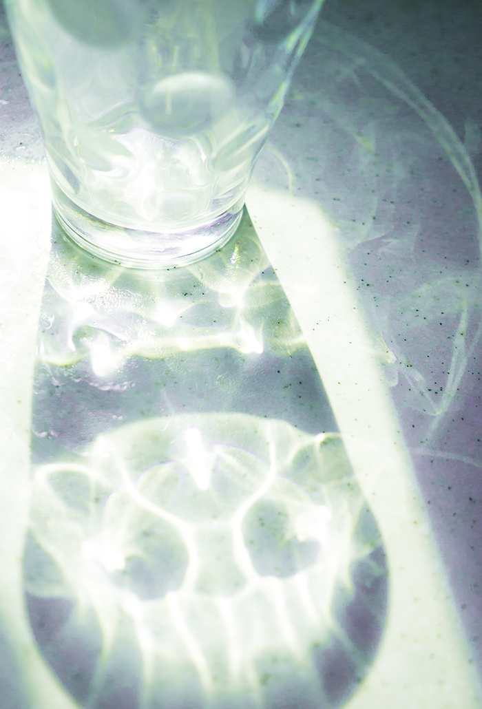 P1410240-2 700.png
