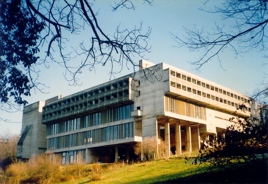 1252_l.jpg