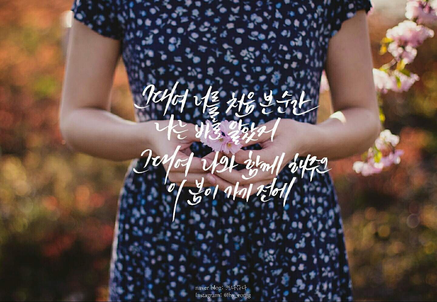 KakaoTalk_20170304_173629562.jpg
