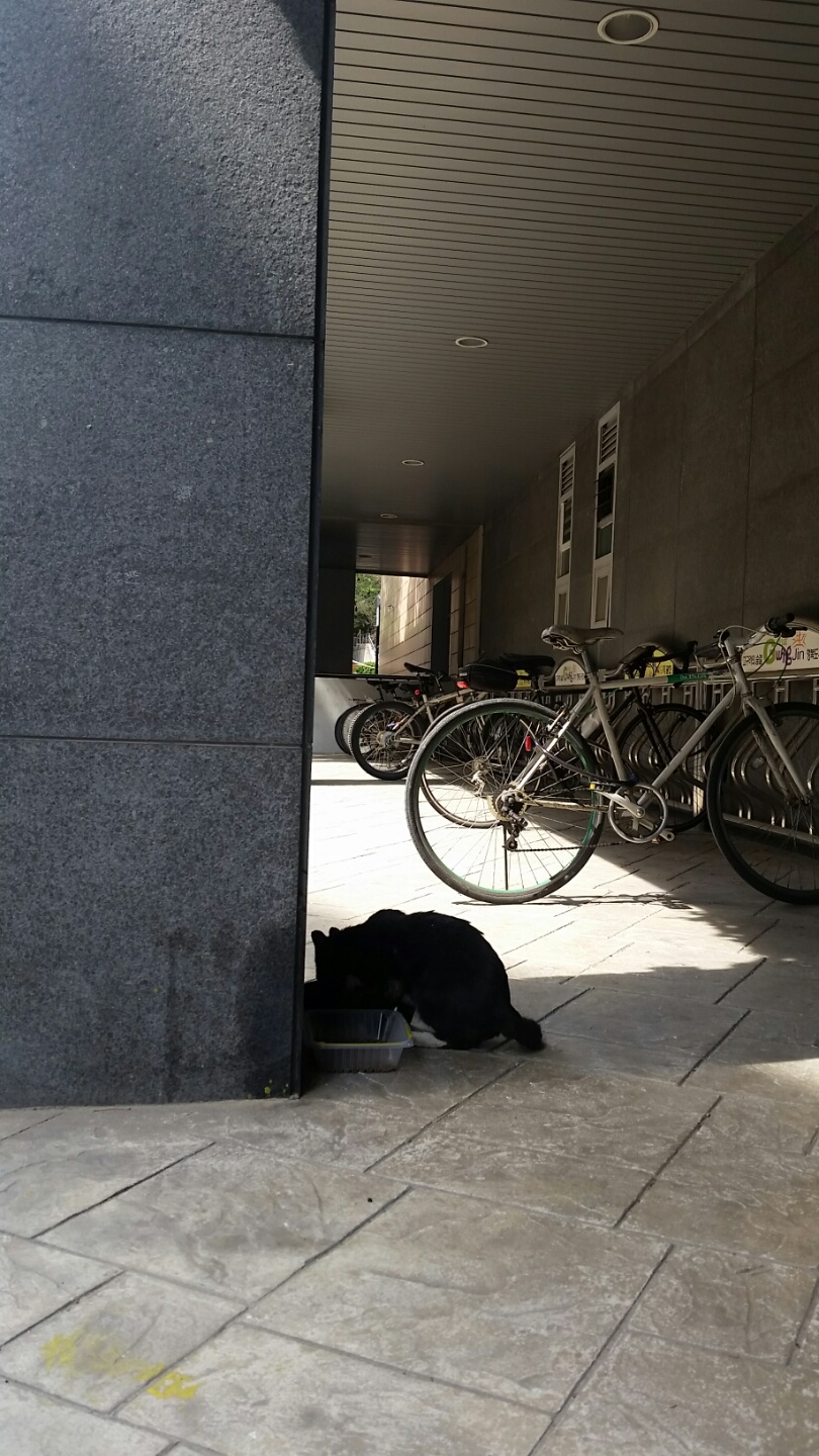 KakaoTalk_20170531_233749000.jpg