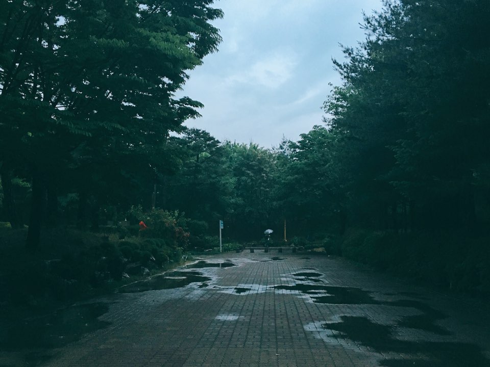 KakaoTalk_20170531_030658786.jpg