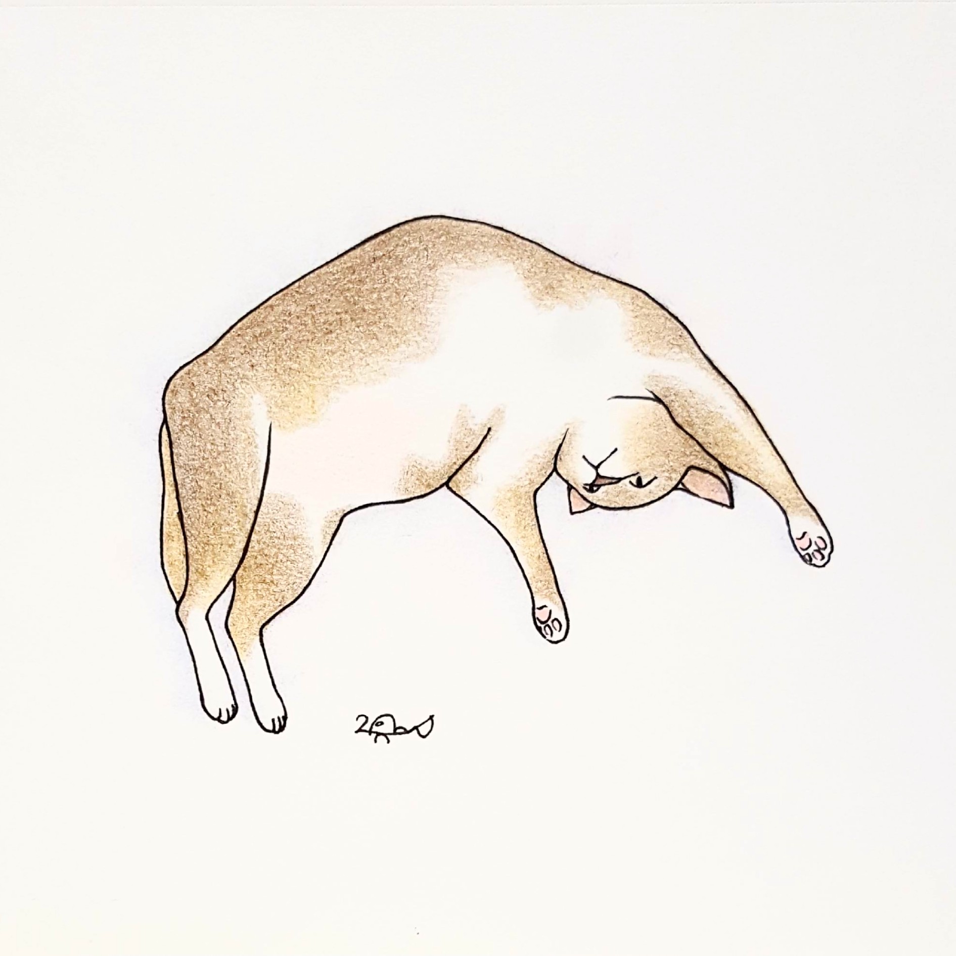 휴식의 순간을 기록하다.jpg