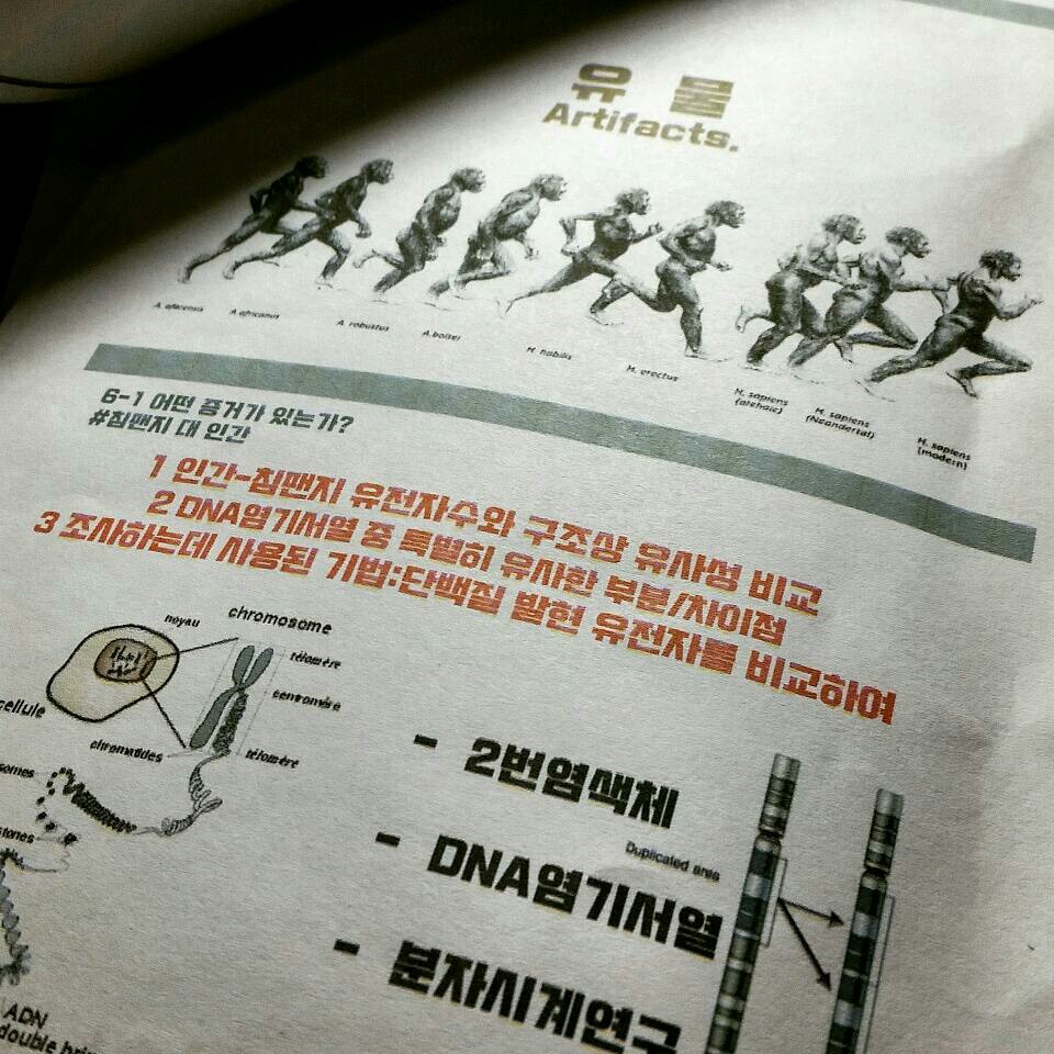 KakaoTalk_Moim_4GQMp8B7lmGTNkwwjxWHT7cojIUf3H.jpg