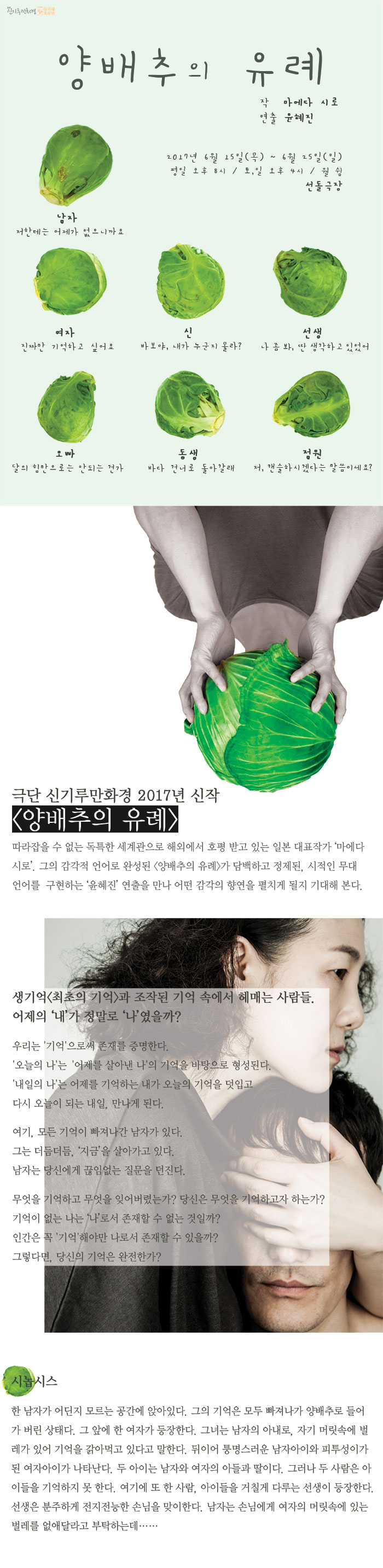 양배추의 유례.jpg