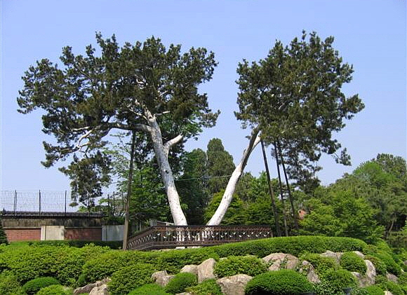 2017-06-21 02;30;05.jpg